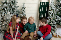 Vance/Earnest :: Christmas mini 2023